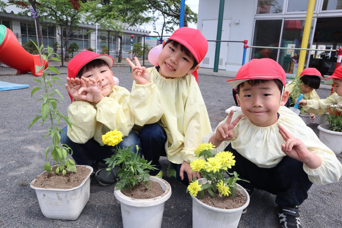 花育