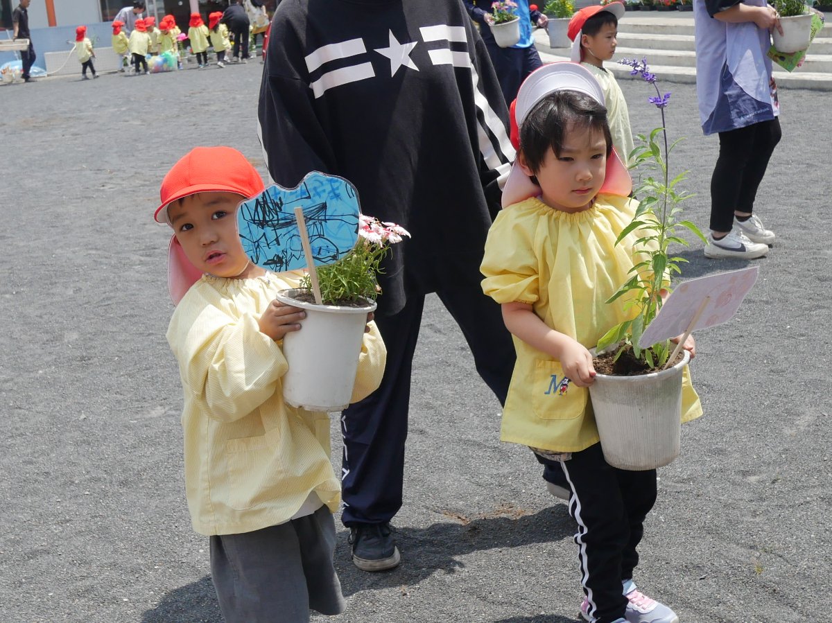 花育
