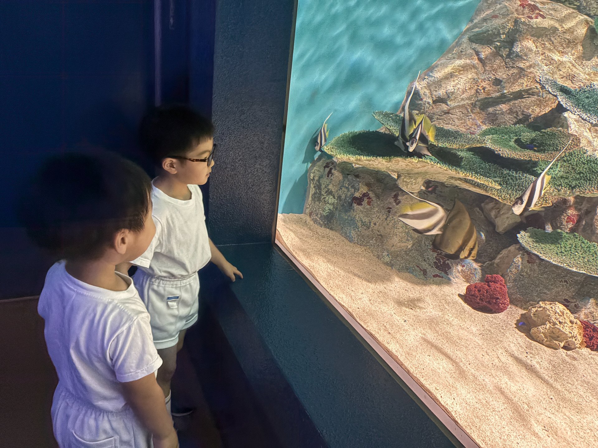 ☆水族館見学☆