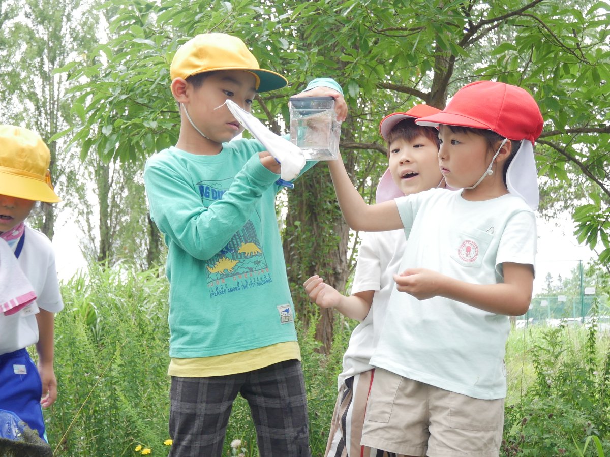 横内小1年生とビオトープで交流会～幼保小連携架け橋プログラム～