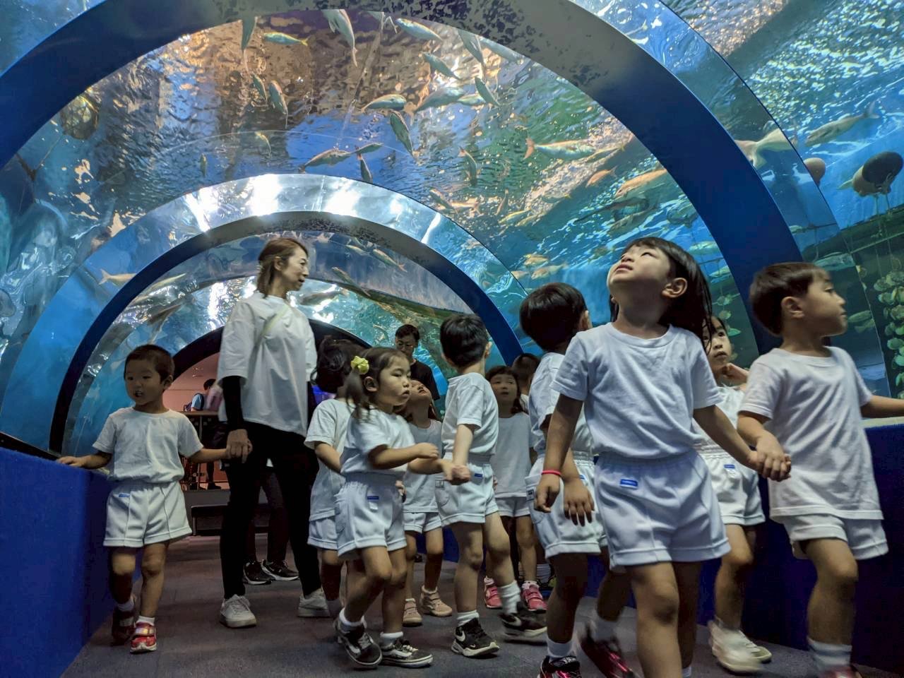 ☆水族館見学☆