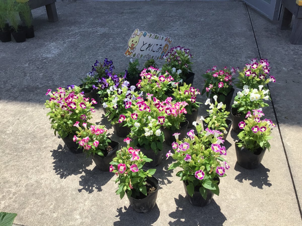 花育