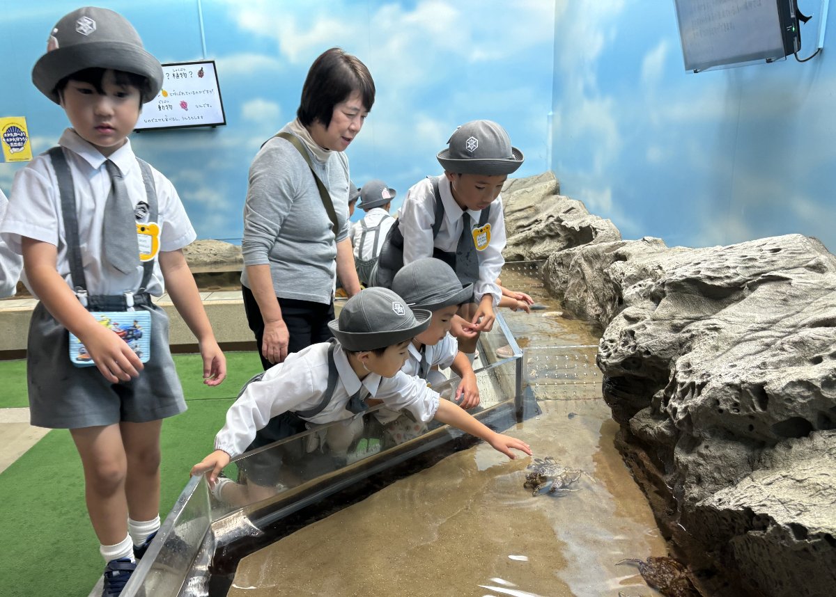 ★水族館見学★