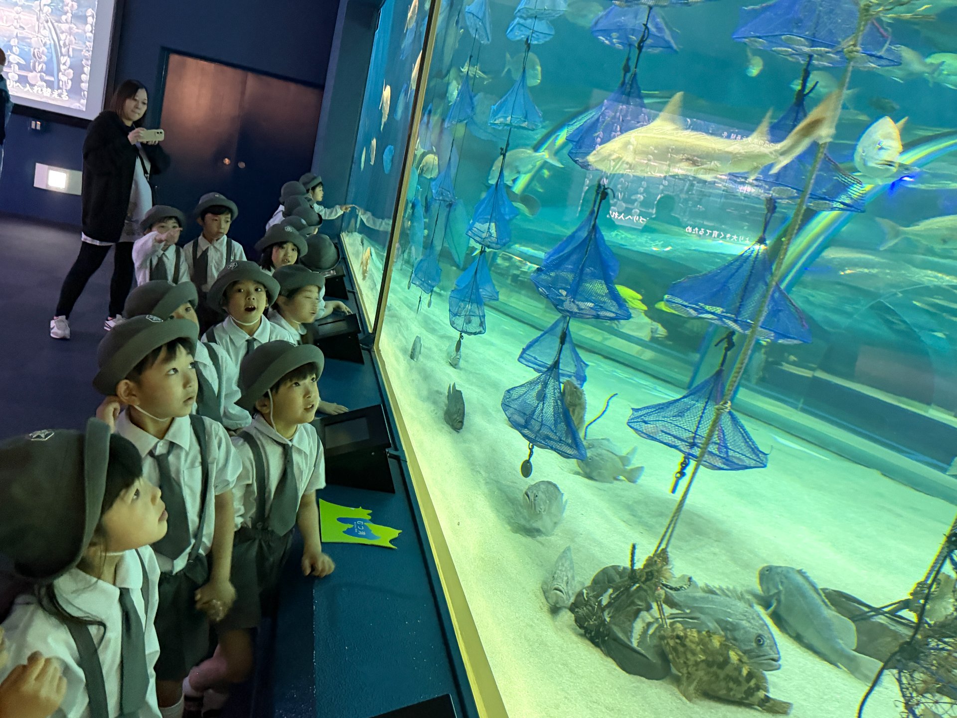 ☆水族館見学☆