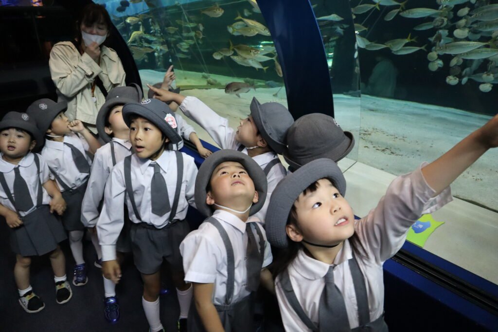 水族館を楽しむ園児たち