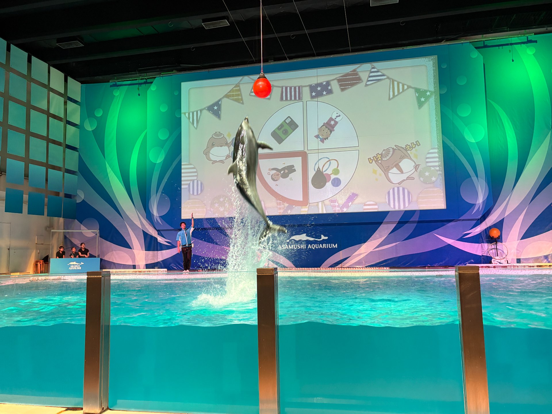 ☆水族館見学☆