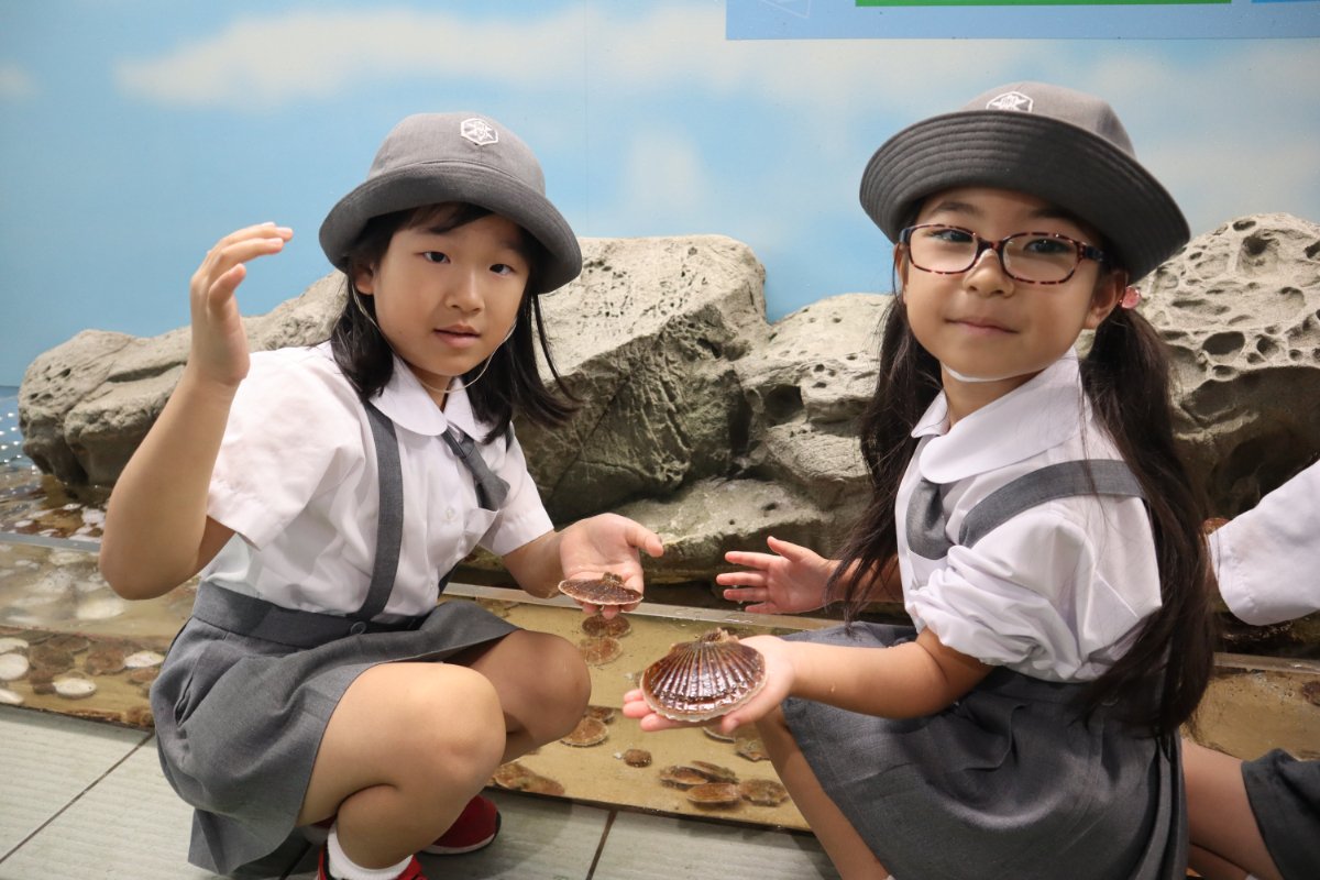 ★水族館見学★