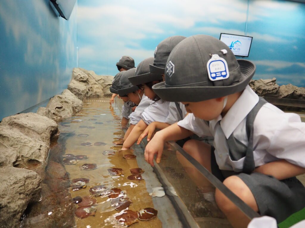 水族館を楽しむ園児たち