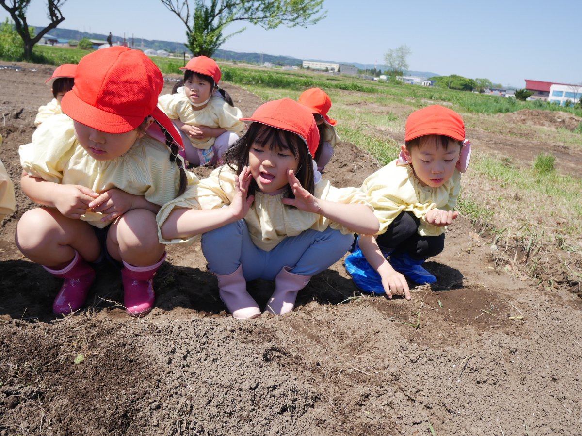 ☆いも植え☆