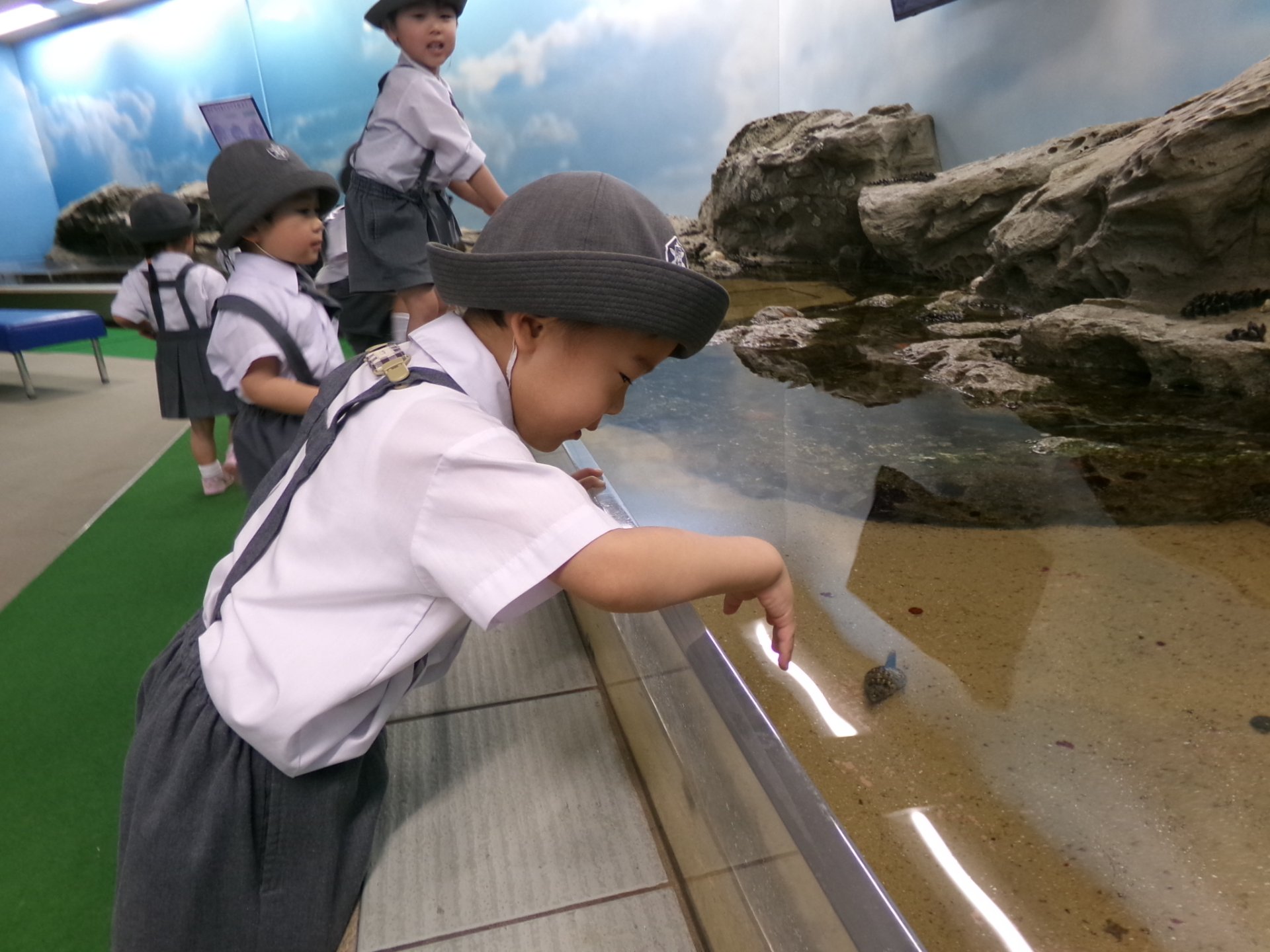 ○o。.水族館見学.。o○