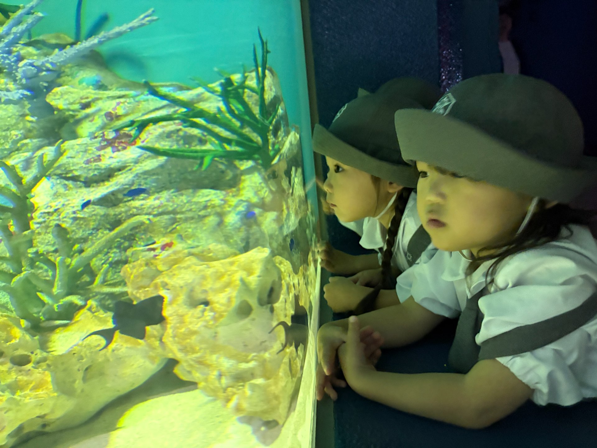 ☆水族館見学☆