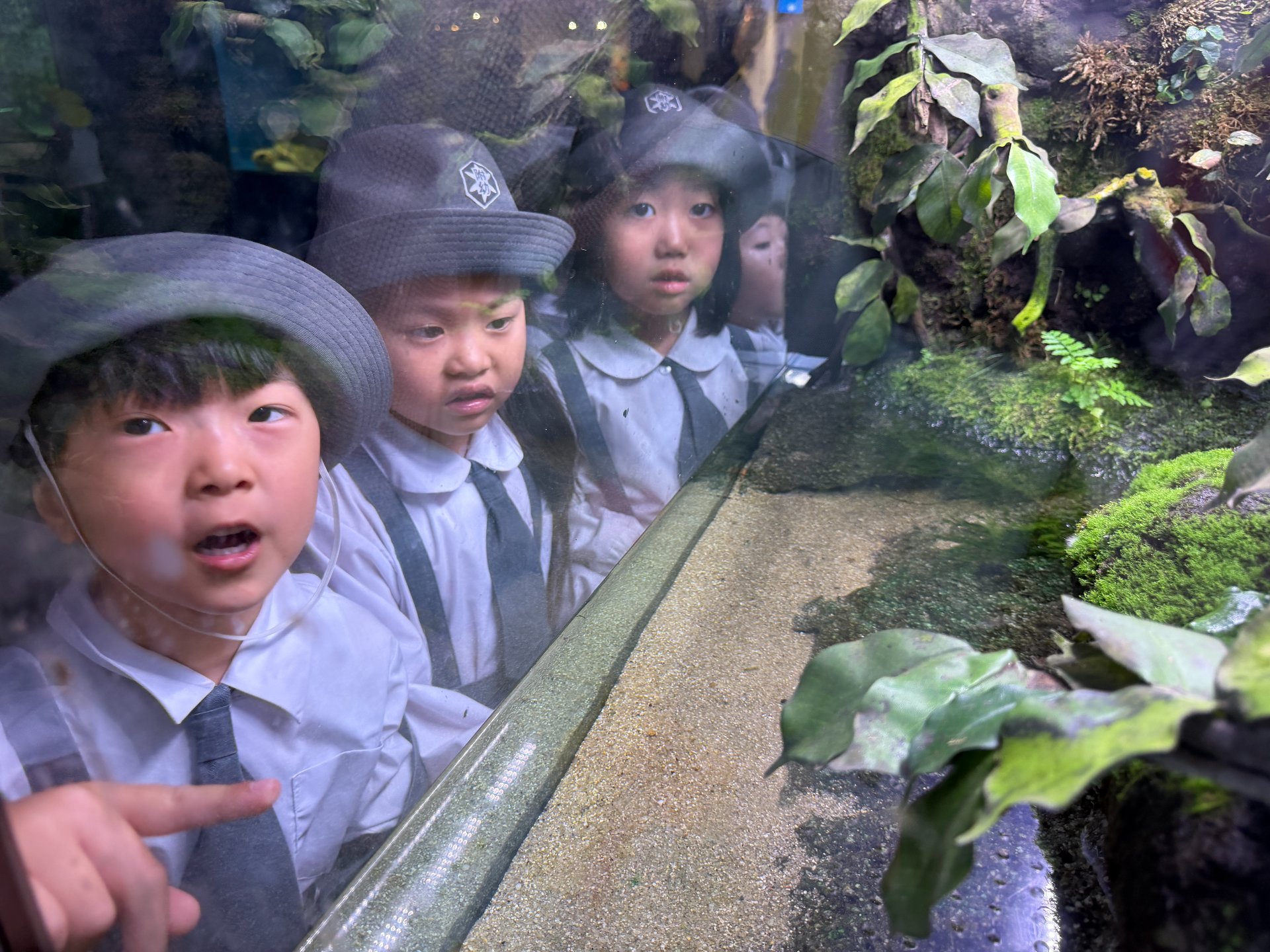 ☆水族館見学☆