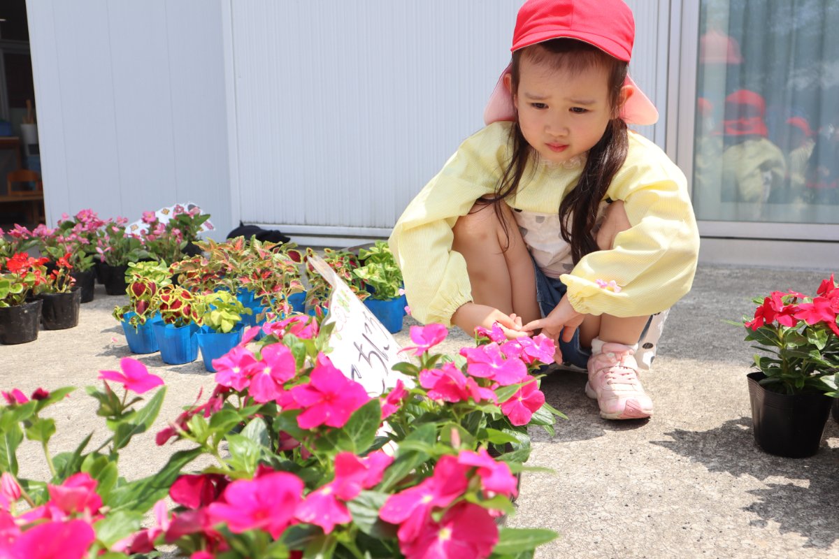 花育