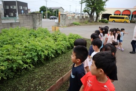 原別小学校で散歩を楽しむ園児たち