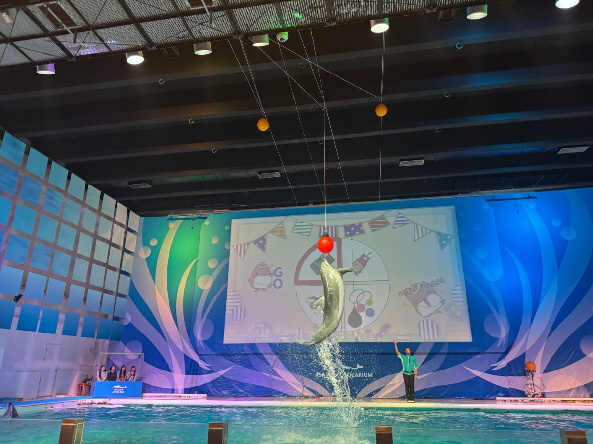★水族館見学★