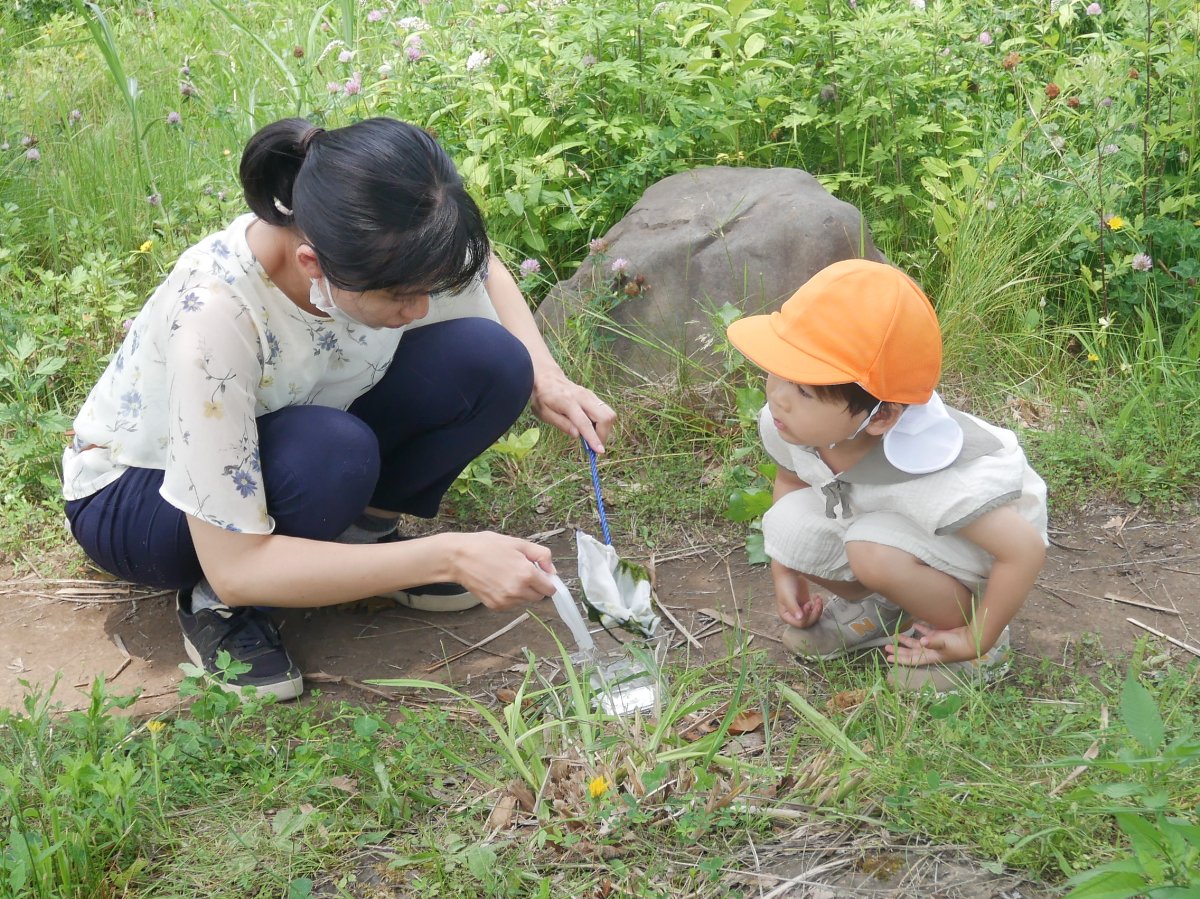 親子で遊ぼう