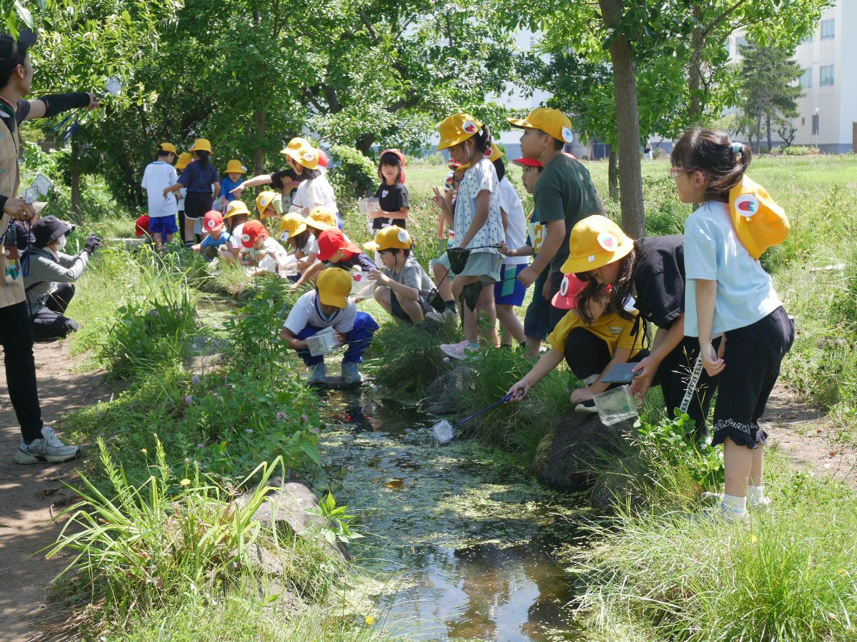 幼保小連携架け橋プログラム～横内小学校1年生とビオトープで交流～