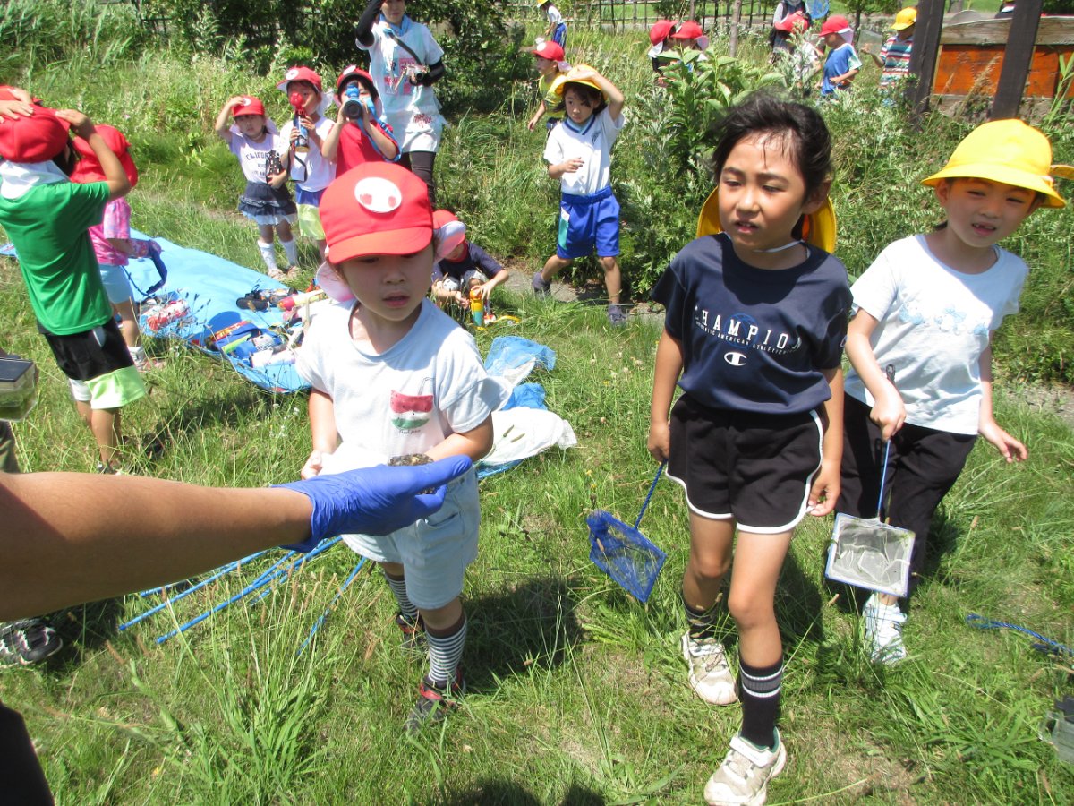 幼保小連携架け橋プログラム～横内小学校1年生とビオトープで交流～
