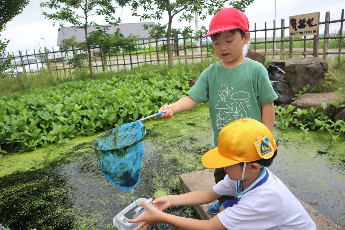 横内小1年生とビオトープで交流会～幼保小連携架け橋プログラム～
