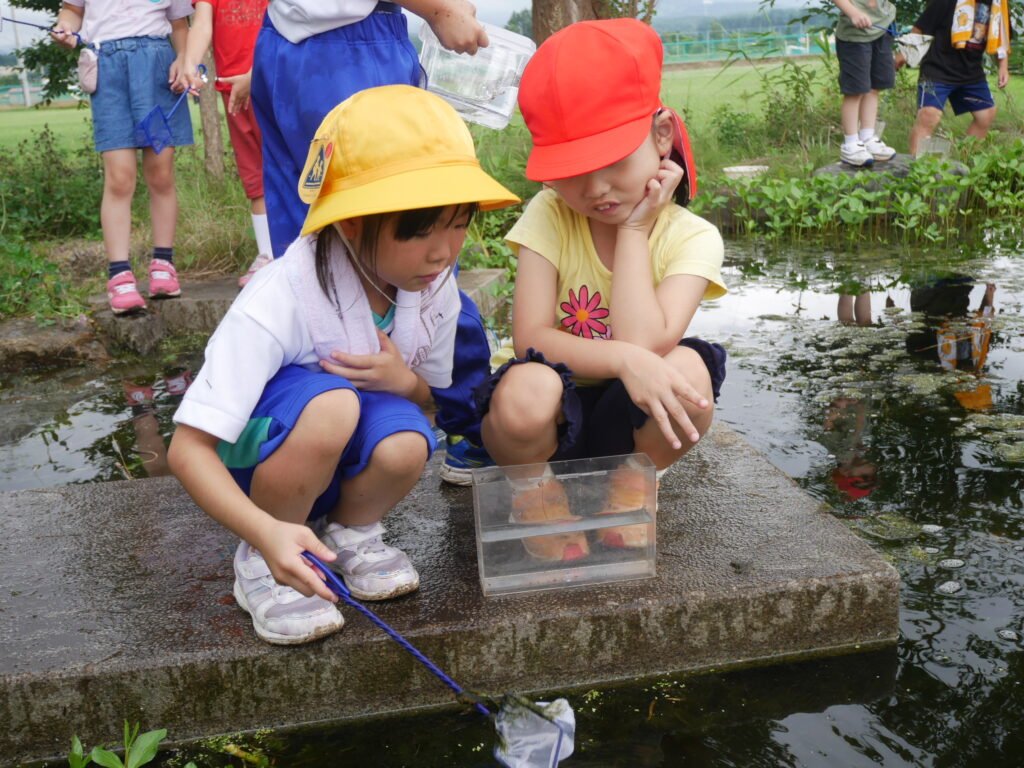 生き物を捕まえたり、草花を摘んだりして  活発に遊ぶ子どもたち